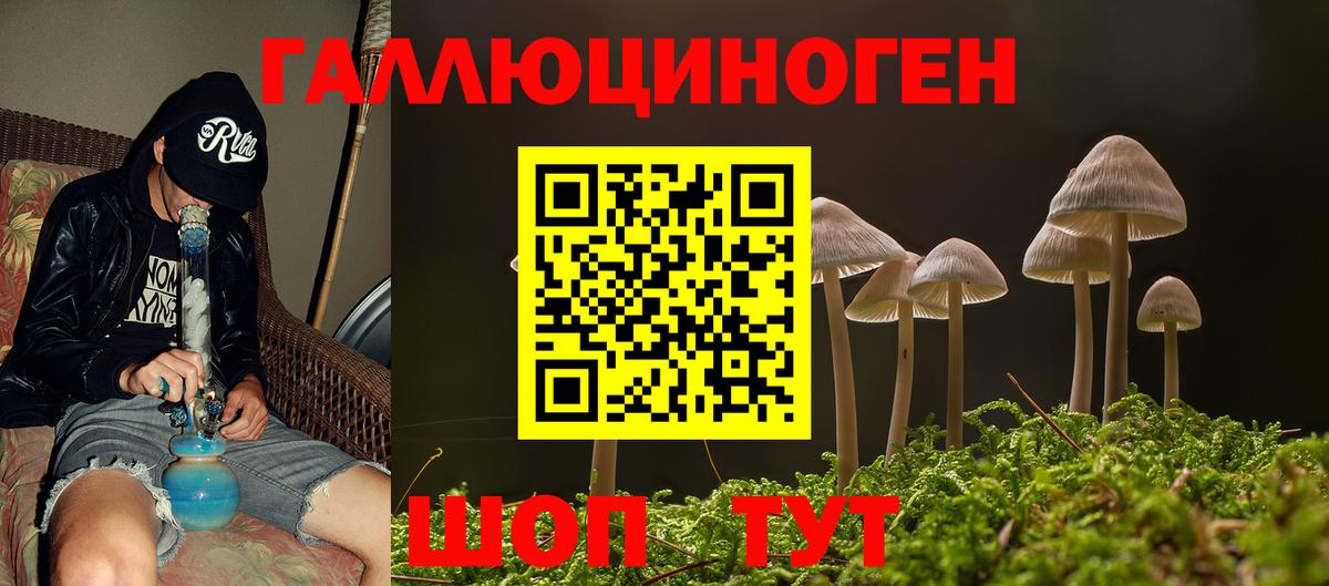 Псилоцибиновые грибы мицелий  Вход с VPN  Азнакаево  Галлюциногенные грибы прущие грибы 